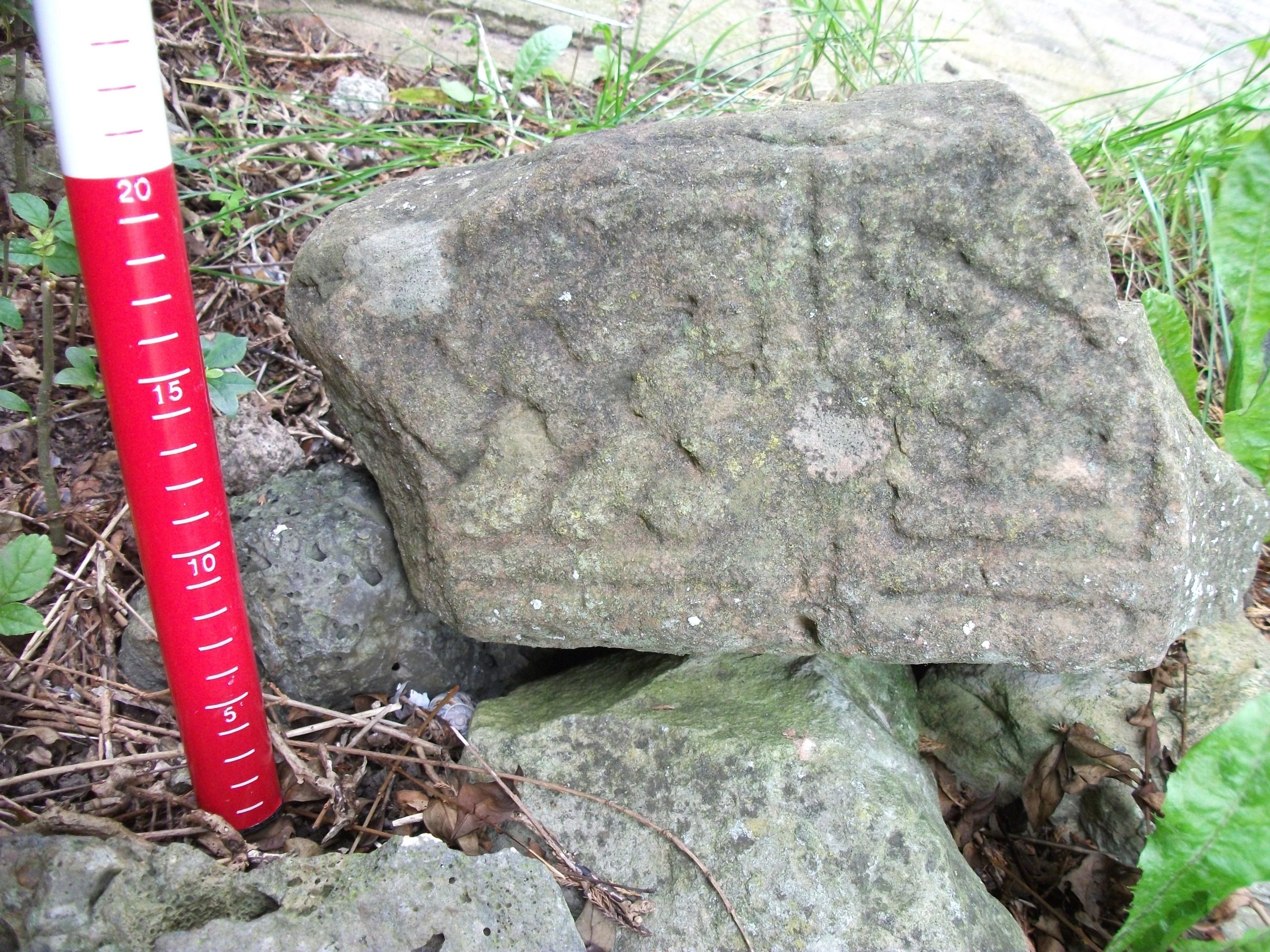 The Lost Carlton/Thorpe Cross